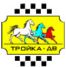 Логотип транспортной компании Тройка ДВ