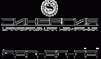 Логотип транспортной компании Синергия