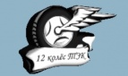 Логотип транспортной компании 12 Колес-ТЭК