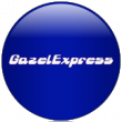 Логотип транспортной компании Газель Экспресс 116