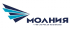 Логотип транспортной компании Молния ООО