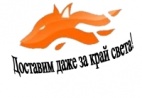 Логотип транспортной компании ТЭК "ЛиСА-Транс"