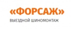 Логотип транспортной компании Выездной шиномонтаж "Форсаж"
