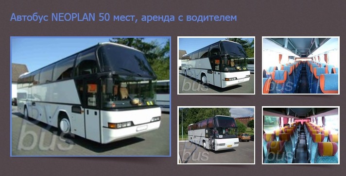 Расположение автобуса 49