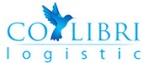 Логотип транспортной компании Колибри Логистик