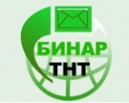 Логотип транспортной компании Бинар ТНТ