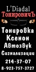 Логотип транспортной компании ТонировичЪ
