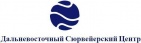 Логотип транспортной компании Дальневосточный Сюрвейерский Центр, ООО
