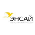 Логотип транспортной компании ООО "ТЭС ЭНСАЙ"
